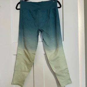 NWT Pink Active by Victoria's Secret - Seamless Ombre Legging - Ladies XL